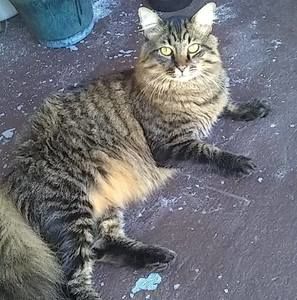 Meet your Posher, Nadia